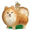 Best reviews of 😉 Old World 🎁 Christmas Hanging Glass Tree Ornament, Standing Pomeranian 🌟 -Old World Christmas Shop Belk 10
