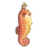 Wholesale 🛒 Old World 🔔 Christmas Hanging Glass Tree Ornament, Orange Sea Horse 🤩 -Old World Christmas Shop Belk 1051