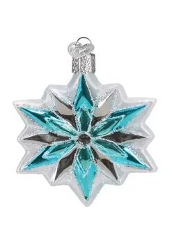 Hot Sale ⭐ Old World 🎄 Christmas Glass Blown Tree Ornament, Snowflake ❤️