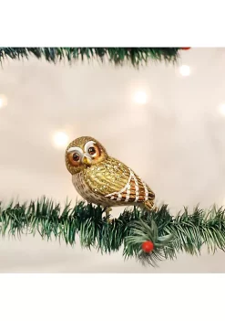 Hot Sale 😍 Old World 🎄 Christmas Pygmy Owl Glass Blown Ornament for 🎄 Christmas Tree 🔥 -Old World Christmas Shop Belk 1450