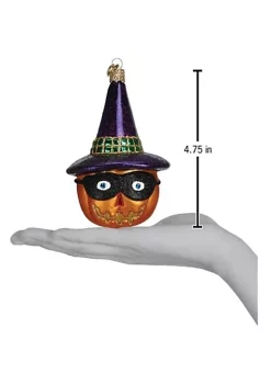 New 🛒 Old World ❄ Christmas Masked Witch Jack O'Lantern Glass Blown Ornament 👍 -Old World Christmas Shop Belk 1473