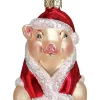 Best reviews of 🌟 Old World 🎄 Christmas Old World Glass Blown Ornament (#12130) 🎄 Christmas Ham, 3.25" 🎉 -Old World Christmas Shop Belk 1813