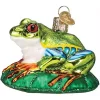 Promo 🎉 Old World 🎄 Christmas Hanging Glass Tree Ornament, Red-Eyed Tree Frog ✨ -Old World Christmas Shop Belk 1835
