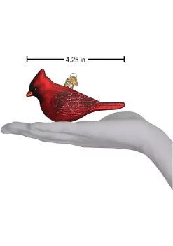 Best reviews of ✔️ Old World ❄ Christmas Northern Cardinal Handcrafted Hanging Tree Ornament 😍 -Old World Christmas Shop Belk 1933