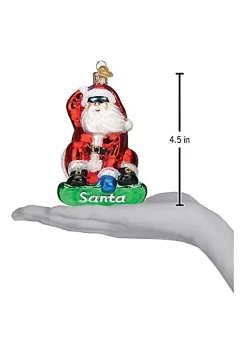 Best Pirce ๐ Old World ๐ Christmas Glass Blown Ornaments, Snowboarding Santa ๐ฅฐ 10 Best Pirce ๐ Old World ๐ Christmas Glass Blown Ornaments, Snowboarding Santa ๐ฅฐ -Old World Christmas Shop Belk 2457