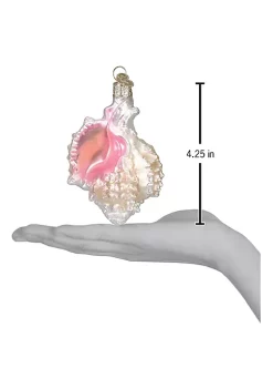 Coupon 💯 Old World 🔔 Christmas Beach Shells Glass Blown Ornaments Mexican Seashell (#12177) ⌛ -Old World Christmas Shop Belk 2503