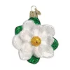 Outlet 🎁 Old World 🎄 Christmas Magnolia Glass Blown Ornament 🔔 -Old World Christmas Shop Belk 2509