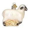 New ⭐ Old World 🎁 Christmas Sheep Glass Blown Ornament 🧨