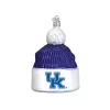 Budget 𧨠Old World π Christmas Glass Blown Ornament (#62514) Kentucky Beanie, 4.5" π 1 Budget 𧨠Old World π Christmas Glass Blown Ornament (#62514) Kentucky Beanie, 4.5" π -Old World Christmas Shop Belk 3131
