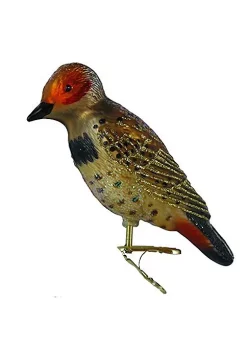 Coupon 🤩 Old World 🎁 Christmas Northern Flicker Glass Blown Ornament 👏 -Old World Christmas Shop Belk 3163
