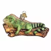 Buy π Old World π Christmas Iguana Glass Blown Ornament β€οΈ 2 Buy π Old World π Christmas Iguana Glass Blown Ornament β€οΈ -Old World Christmas Shop Belk 3182