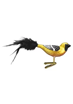 Top 10 🔔 Old World ❄ Christmas Bird ⌚ Watcher Collection- Glass Blown Ornament: Hooded Oriole 💯