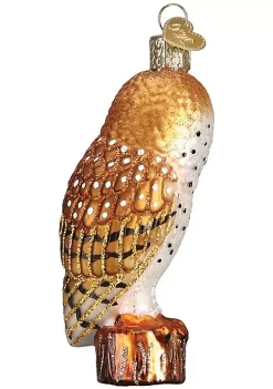 Outlet ๐ Old World ๐ Christmas 16118 Glass Blown Barn Owl Ornament ๐คฉ 8 Outlet ๐ Old World ๐ Christmas 16118 Glass Blown Barn Owl Ornament ๐คฉ -Old World Christmas Shop Belk 3372