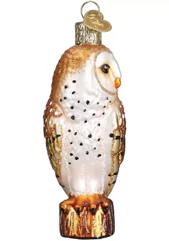 Outlet ๐ Old World ๐ Christmas 16118 Glass Blown Barn Owl Ornament ๐คฉ 9 Outlet ๐ Old World ๐ Christmas 16118 Glass Blown Barn Owl Ornament ๐คฉ -Old World Christmas Shop Belk 3373