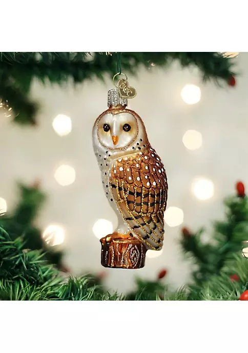 Outlet ๐ Old World ๐ Christmas 16118 Glass Blown Barn Owl Ornament ๐คฉ 6 Outlet ๐ Old World ๐ Christmas 16118 Glass Blown Barn Owl Ornament ๐คฉ - Image 4