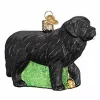 Best Pirce 🌟 Old World 🔔 Christmas Black Newfoundland Glass Blown Ornament 🎉 -Old World Christmas Shop Belk 3451