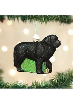 Best Pirce 🌟 Old World 🔔 Christmas Black Newfoundland Glass Blown Ornament 🎉 -Old World Christmas Shop Belk 3454