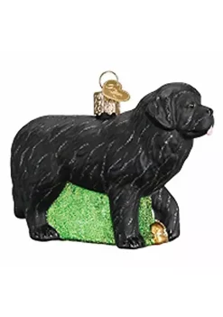 Best Pirce 🌟 Old World 🔔 Christmas Black Newfoundland Glass Blown Ornament 🎉 -Old World Christmas Shop Belk 3455