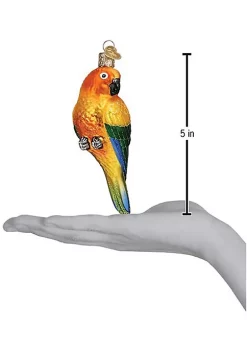 Cheapest ❤️ Old World ❄ Christmas 16133 Glass Blown Sun Conure Ornament ⭐ -Old World Christmas Shop Belk 3547