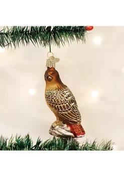Deals 💯 Old World 🔔 Christmas Red-Tailed Hawk Glass Blown Ornament ⌛ -Old World Christmas Shop Belk 3590