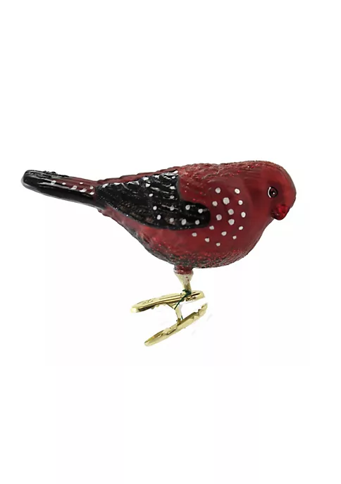 New 🥰 Old World 🔔 Christmas Old World (#18134) Strawberry Finch Clip-on Ornament, 3.5" 🛒 6 New 🥰 Old World 🔔 Christmas Old World (#18134) Strawberry Finch Clip-on Ornament, 3.5" 🛒 - Image 4