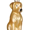 Best Pirce ๐ Old World ๐
Christmas Yellow Labrador Glass Blown Ornament ๐ 2 Best Pirce ๐ Old World ๐
Christmas Yellow Labrador Glass Blown Ornament ๐ -Old World Christmas Shop Belk 3655