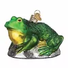 Hot Sale 🧨 Old World 🎄 Christmas 12565 Glass Blown Bull Frog Ornament 🔔 1 Hot Sale 🧨 Old World 🎄 Christmas 12565 Glass Blown Bull Frog Ornament 🔔 -Old World Christmas Shop Belk 3681