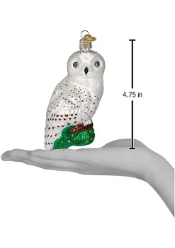 Budget ✔️ Old World 🎄 Christmas Glass Blown Ornaments Great White Owl (#16079) 🔔 -Old World Christmas Shop Belk 3746