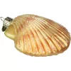 Best reviews of 🔥 Old World 🔔 Christmas 12179 Glass Blown Scallop Shell Ornament 🧨 -Old World Christmas Shop Belk 3749