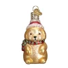 Buy 😍 Old World 🎄 Christmas 🦮 Dog Collection- Glass Blown Ornament: Winter Puppy 🛒