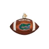 Best Sale 🥰 Old World 🎄 Christmas Glass Blown Ornament (#64400) Florida Football, 4" ⌛