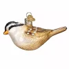 Cheap โจ Old World ๐ Christmas Old World Blown Glass ๐ Christmas Tree Ornament, White Crowned Sparrow ๐ 1 Cheap โจ Old World ๐ Christmas Old World Blown Glass ๐ Christmas Tree Ornament, White Crowned Sparrow ๐ -Old World Christmas Shop Belk 3888