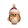 Outlet 👍 Old World 🎄 Christmas Santa Owl Glass Blown 🎄 Christmas Tree Ornament 🌟 -Old World Christmas Shop Belk 3910