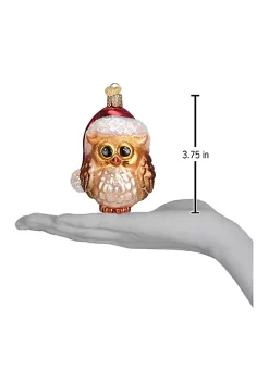 Outlet 👍 Old World 🎄 Christmas Santa Owl Glass Blown 🎄 Christmas Tree Ornament 🌟 -Old World Christmas Shop Belk 3911