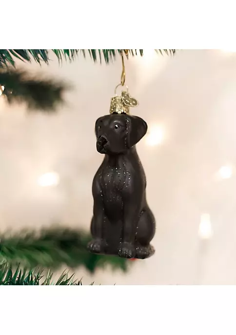 Deals π₯ Old World π
Christmas Black Labrador Glass Blown Ornament β¨ 4 Deals π₯ Old World π
Christmas Black Labrador Glass Blown Ornament β¨ - Image 2