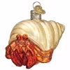 Best reviews of 🤩 Old World 🎅 Christmas 12537 Glass Blown Hermit Crab Ornament ⭐