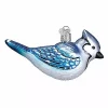 Top 10 🛒 Old World 🎅 Christmas Bright Blue Jay Glass Blown Ornament 🛒