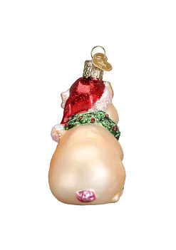 Hot Sale 🎉 Old World 🔔 Christmas Glass Blown Ornaments Holly Pig (#12420) 🛒 -Old World Christmas Shop Belk 4241