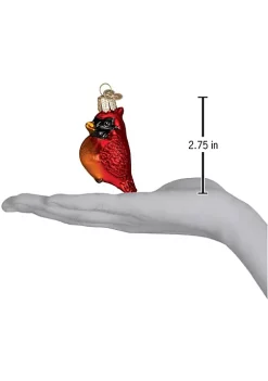 Budget ⭐ Old World 🎄 Christmas Mini Cardinal Glass Blown Ornament 😍 -Old World Christmas Shop Belk 4401