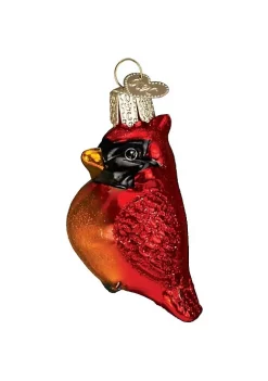 Budget ⭐ Old World 🎄 Christmas Mini Cardinal Glass Blown Ornament 😍 -Old World Christmas Shop Belk 4402