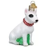 Wholesale 👍 Old World 🎄 Christmas 12587 Glass Blown Bull Terrier Ornament 💯 2 Wholesale 👍 Old World 🎄 Christmas 12587 Glass Blown Bull Terrier Ornament 💯 -Old World Christmas Shop Belk 4403