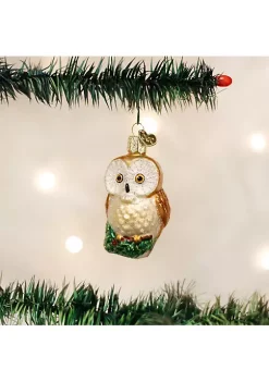 Best reviews of 🎉 Old World 🎄 Christmas Glass Blown Ornament, (#16094) 🎄 Christmas Owl , 3" 😉 -Old World Christmas Shop Belk 4436