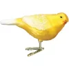 Deals 🥰 Old World 🎄 Christmas Glass Blown Ornaments Canary (#18135) ✨ -Old World Christmas Shop Belk 4462