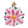 Wholesale ⭐ Old World 🎄 Christmas Glass Blown Ornament, Clematis (#36262) 😉 -Old World Christmas Shop Belk 4716