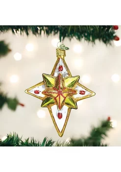 Deals 🎁 Old World 🎄 Christmas Luminous Star Glass Blown Ornament ⭐ -Old World Christmas Shop Belk 4726