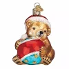 New 💯 Old World ❄ Christmas Collection- Glass Blown Ornament: Playful Cub ⌛ -Old World Christmas Shop Belk 4728
