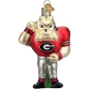 Coupon 🎁 Old World 🎄 Christmas University of Georgia, Hairy Dawg Mascot 😍 -Old World Christmas Shop Belk 50
