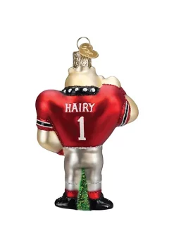 Coupon 🎁 Old World 🎄 Christmas University of Georgia, Hairy Dawg Mascot 😍 -Old World Christmas Shop Belk 51