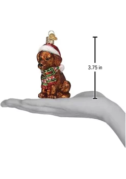 Best deal 🥰 Old World 🎄 Christmas Holiday Chocolate Labrador Puppy Glass Blown Ornaments for 🎄 Christmas Tree 🤩 11 Best deal 🥰 Old World 🎄 Christmas Holiday Chocolate Labrador Puppy Glass Blown Ornaments for 🎄 Christmas Tree 🤩 -Old World Christmas Shop Belk 620