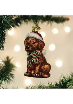 Best deal 🥰 Old World 🎄 Christmas Holiday Chocolate Labrador Puppy Glass Blown Ornaments for 🎄 Christmas Tree 🤩 12 Best deal 🥰 Old World 🎄 Christmas Holiday Chocolate Labrador Puppy Glass Blown Ornaments for 🎄 Christmas Tree 🤩 -Old World Christmas Shop Belk 621